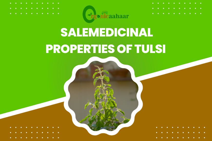 Medicinal properties of tulsi
