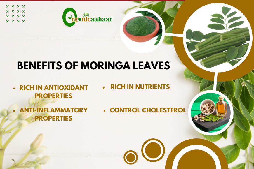 Many health benefits of Moringa (drumstick) leaves