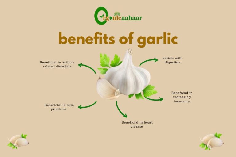 benefits of garlic